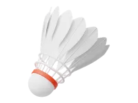 BADMINTON