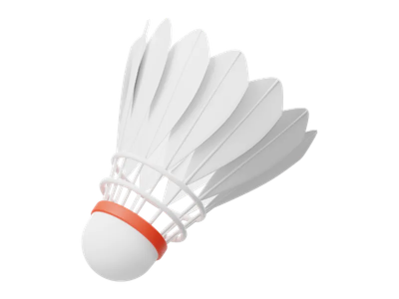 BADMINTON